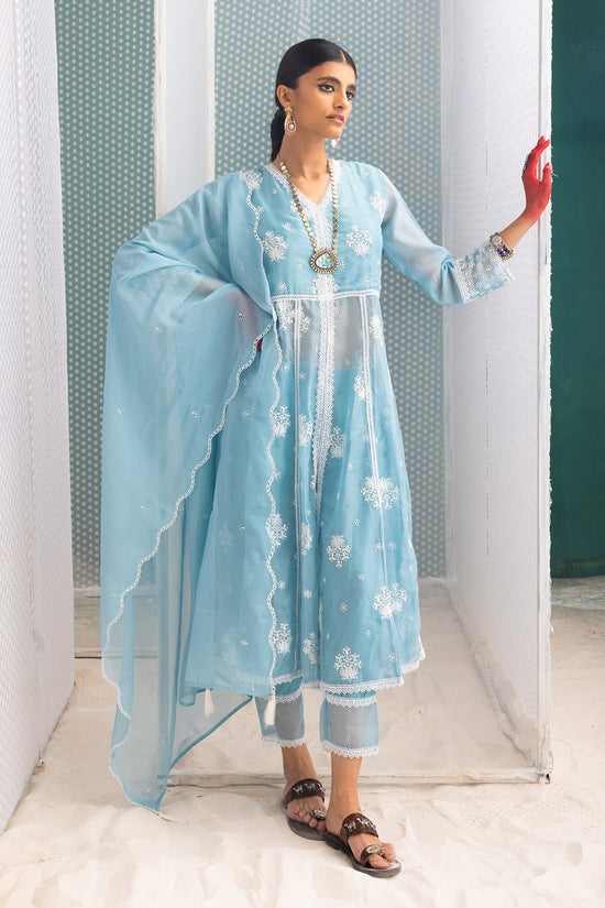 Blue Chikankari Flared Kurta Set