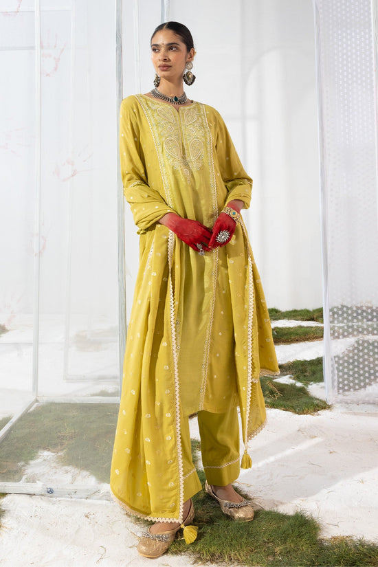 Green Embroidered Straight Kurta Set
