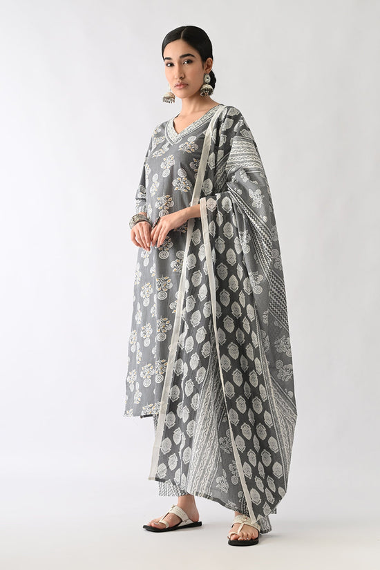 Grey Printed Kurta Set(3 Piece)